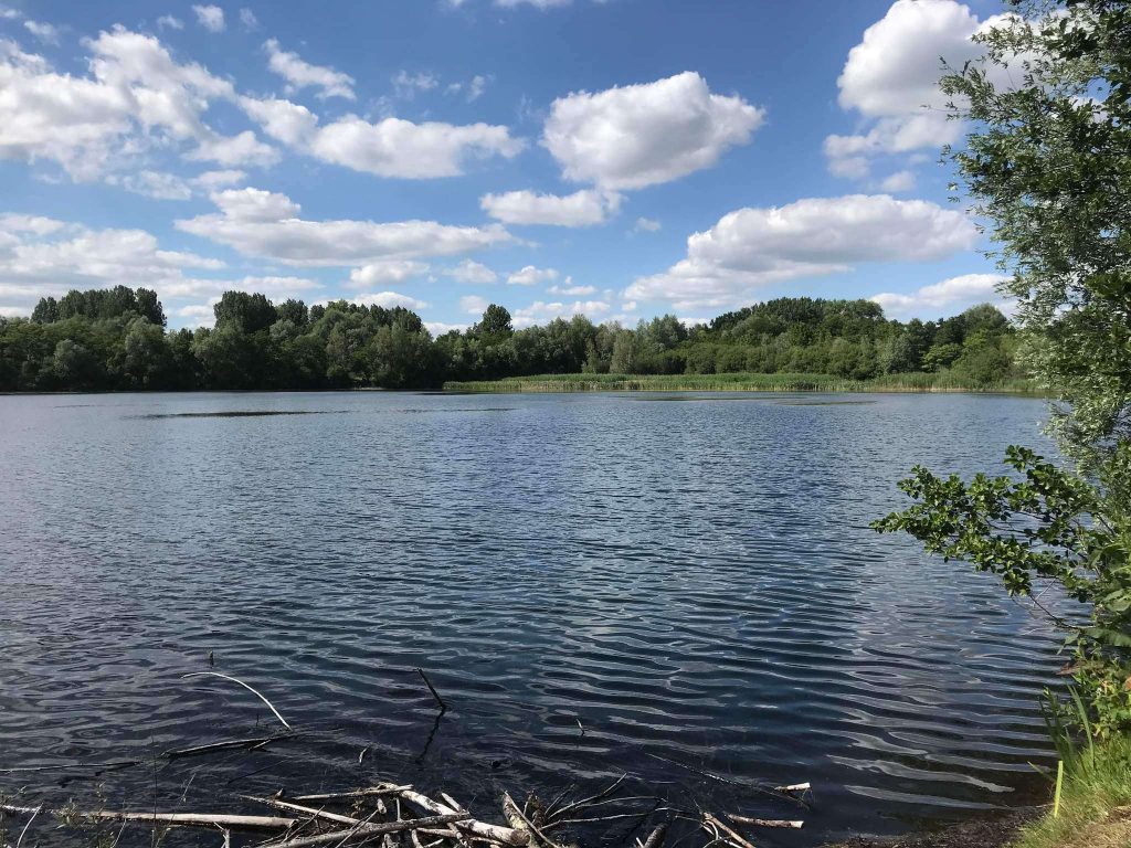 Forêt de Bonsecours 19