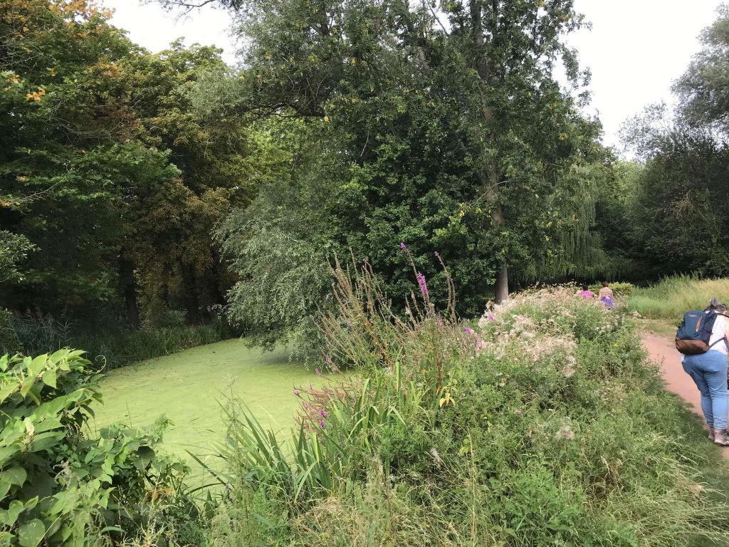 parc de fresnes 5