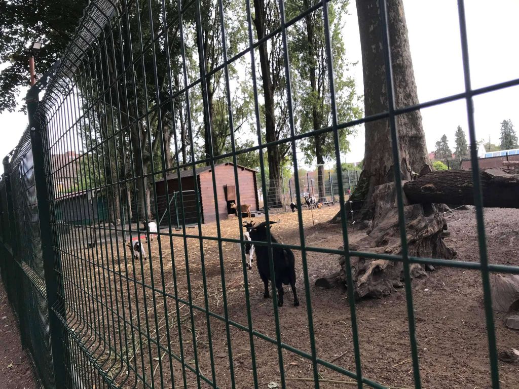 parc de fresnes 8