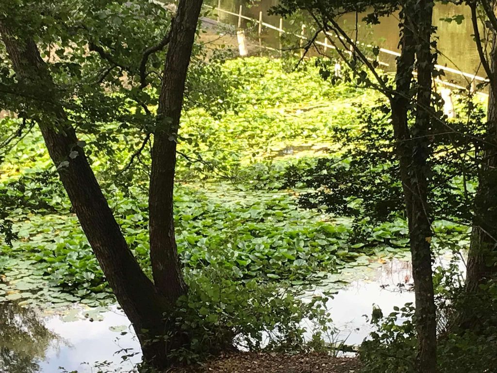 parc de fresnes 1