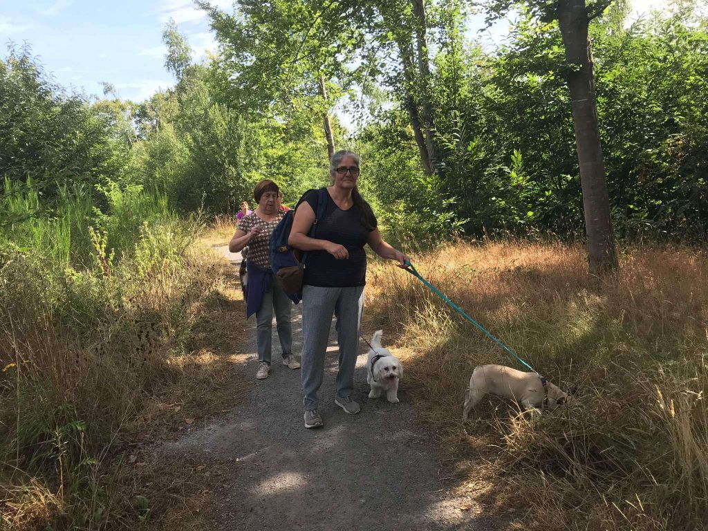 Forêt de Bonsecours 12
