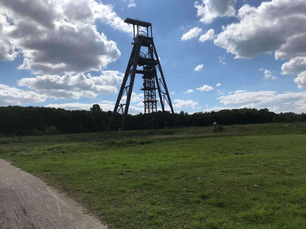Forêt de Bonsecours 16