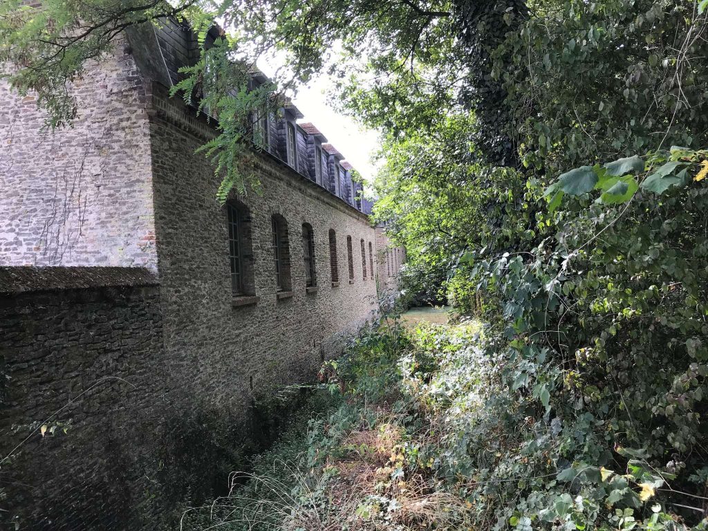 Forêt de Bonsecours 17