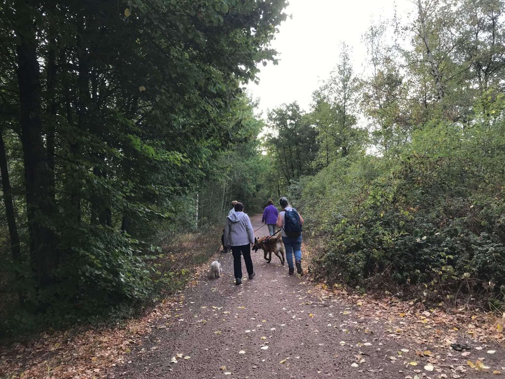 parc de fresnes 3
