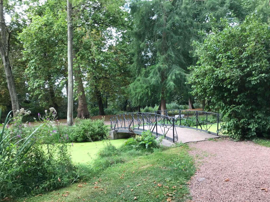 Forêt de Bonsecours 6