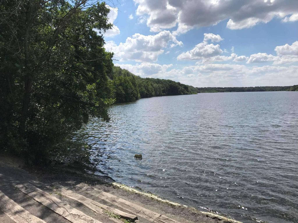 Forêt de Bonsecours 3